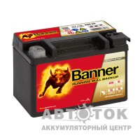 BANNER Running Bull AGM BACKUP 509 00 / AUX 09 9L 120A 150x88x106