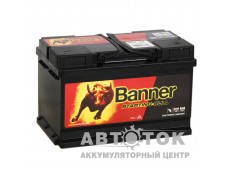 Автомобильный аккумулятор Banner Starting Bull 570 44 70R 640A